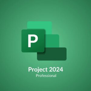 Microsoft Project 2024 Pro LTSC 1PC