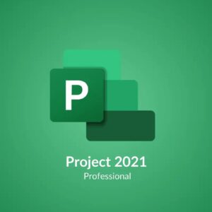 Microsoft Project 2021 Professional