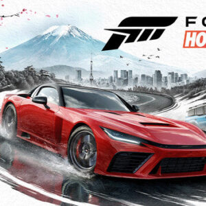 Forza Horizon 6 PC Steam Account