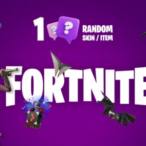 1 Random Fortnite Skin / Item Epic Games CD Key