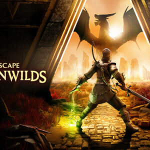 RuneScape: Dragonwilds PC Steam Account
